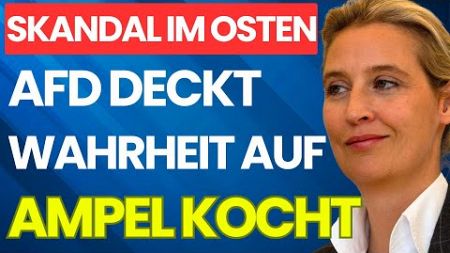 💥Skandal im Osten: Politik dreht durch! Wird die Ampel-Koalition gestürzt?💥