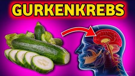 Krebs- und Gedächtnisverlust-Warnung: Gründe, warum Sie Gurken nicht so essen sollten 🥒!