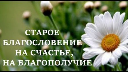 СТАРОЕ БЛАГОСЛОВЕНИЕ НА СЧАСТЬЕ, НА БЛАГОПОЛУЧИЕ | Говорите это своим близким