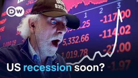 Analyzing the US Recession Fears | DW Business