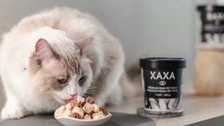 XAXA PREMIUM PET FOOD プロモーション