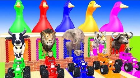 5 Giant Duck Cartoon,Tiger,Cow,Zebra,Chicken,Dog,Cat Wild Animals Crossing Fountain 2023