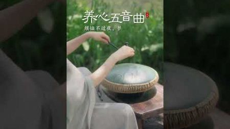 音乐系列丨“空灵鼓”演奏《养心五音曲》#音乐 #空灵鼓