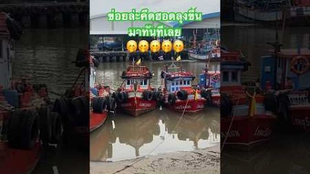 #ท่าเรือ #แหลมเจริญ #บันเทิง #ฮาๆ #ตลก #กวน #youtubeshorts #ฝากกดติดตาม