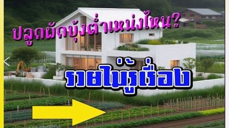 🪴ปรับฮวงจุ้ยทางการเงิน!!** ฮวงจุ้ยบอกแล้ว! ปลูกผักบุ้งทิศนี้ เงินทองไหลมาไม่ขาดสายปี 2567**