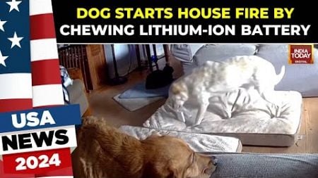 Viral Video Shows Dog Chewing On A Lithium-ion Battery &amp; Sparking House Fire In Oklahoma | US News