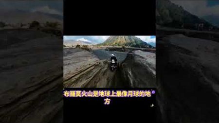 布羅莫火山是地球就像月球的地方，坐摩托車前往中#Reaction Video