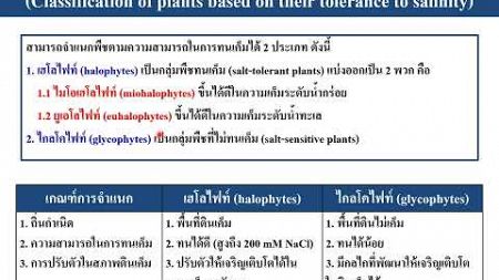 การตอบสนองของพืชต่อภาวะเครียดจากสิ่งแวดล้อม