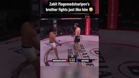 Zabit’s brother fights just like him 😲 (via Bellator MMA)