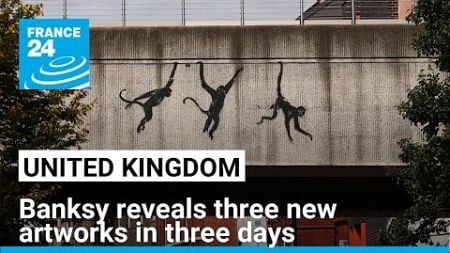 Banksy reveals three new artworks in three days • FRANCE 24 English