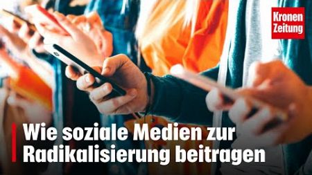 Wie soziale Medien zur Radikalisierung beitragen | krone.tv NEWS