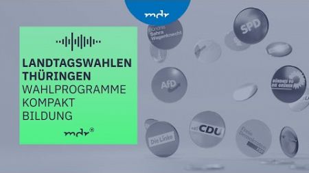 Bildung – Was Thüringens Parteien planen | Podcast Wahlprogramme kompakt | MDR