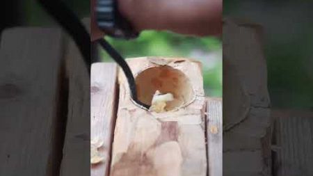 030 Make a wooden bowl while camping. #food #coffee #cooking #camping #nature