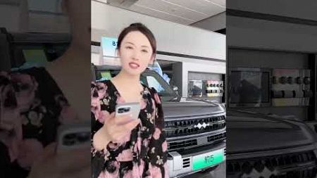 20240809 日照奎山车城MINI中心店 方程豹汽车