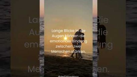 Fakten über die Liebe und Beziehungen