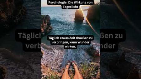 Psychologie: Die Wirkung von Tageslicht