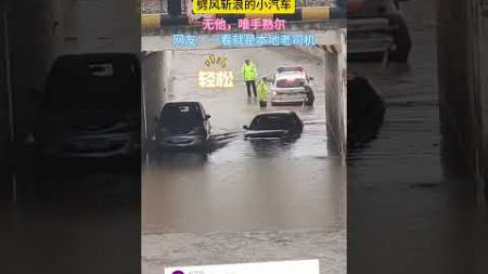 劈风斩浪的小汽车，无他，唯手熟尔 网友：一看就是本地老司机 （来源：