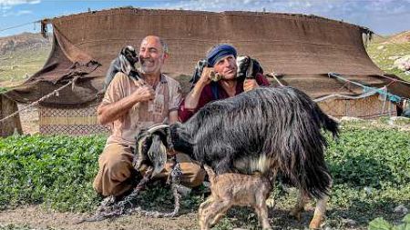 Mountain People Documentary | Selling Sheep Using Modern Technology?!