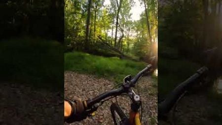 Wet trails #mtb