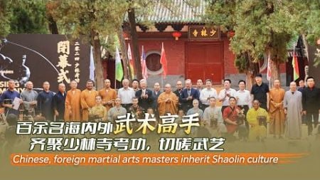 Chinese and foreign martial arts masters inherit Shaolin kung fu, spread Chinese culture