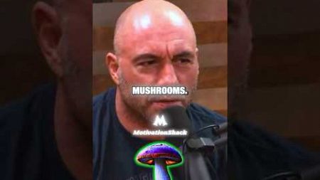 Joe Rogan Frightened By Podcast Guest😳 #shorts #joerogan #entertainment