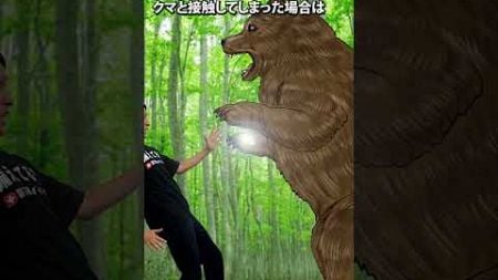 クマに遭遇した時の対処法 逃げる方法　#防災 #熊 #アウトドア #山菜取り #登山