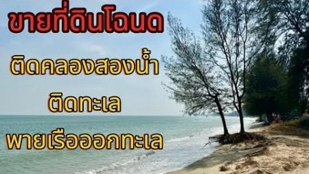 #ขายที่ดิน #ติดทะเล พายเรือออกทะเล 700เมตร #โฉนดพร้อมโอน #ซื้อที่ดิน #ประจวบคีรีขันธ์