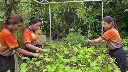 กรณีศึกษาบุลคลในท้องถิ่น ลุงประเสริฐ หนูทอง