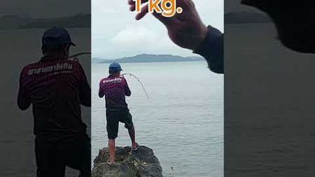 ลอยเหยื่อตกปลา #fishing #mancing #ตกปลา