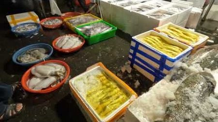 Amazing seafood auction, crazy price, 海鮮魚貨拍賣 坎仔頂 基隆魚市場 seafood fishmarket auction