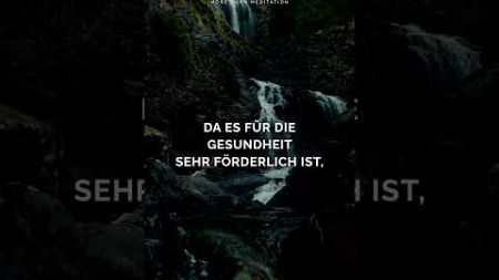 „Da es für die Gesundheit …“ | Zitate #meditation #achtsamkeit #bewusstsein