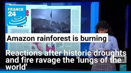 Future of Amazon rainforest is peril as historic droughts continue to ravage • FRANCE 24 English