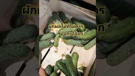 #ผลไม้ #สุขภาพดี #กิน #ผู้หญิง #ห้าม #ประโยชน์ #เปลือก #ผัก #วิตามิน #shorts