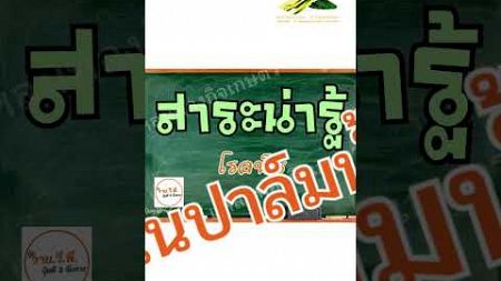 ปุ๋ยสูตร 14-7-35 YVP ปุ๋ยเพิ่มผลผลิต สำหรับปาล์มใหญ่ แหลมทองกิจเกษตร ต.พรุเตียว อ.เขาพนม จ.กระบี่