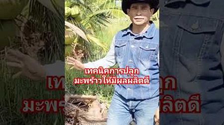 เทคนิคการปลูกมะพร้าวให้มีผลผลิตดี #ปลูกมะพร้าว