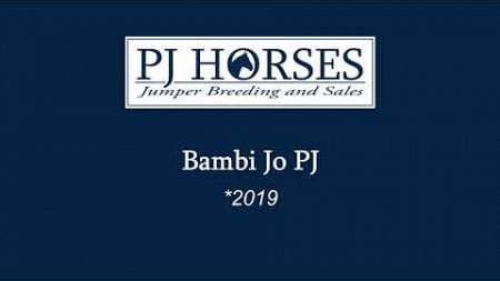 Bambi Jo PJ ~ Springpferde Verkauf ~ Jumper Sales Germany ~ #pjhorses