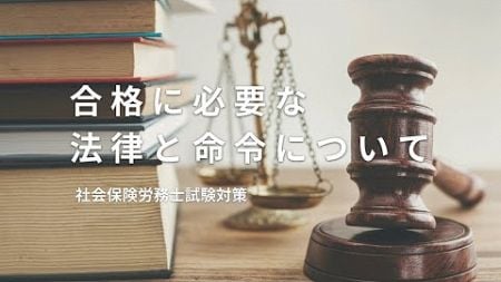 社労士試験に合格するのに必要な法律や命令などの割合についての考察