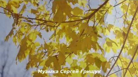 Музыка Для Души ,,КАПЛИ ДОЖДЯ,, Музыка Сергей Грищук #МУЗЫКА #КРАСИВАЯМУЗЫКА