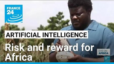 The risks and rewards of AI in Africa • FRANCE 24 English