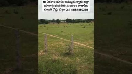 10 Acrs Land Sale || #agriculture #telangana #landforsale #farmer #farming #lowbudget #realestate