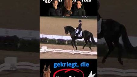 🐎🏆 Die Evolution der Dressur Gesundheit vs Unterhaltung 🏆🐎