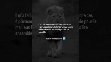 FAIS LE #motivation #sagesse #gratitude #shorts #ytshorts #psychologie #mindset #citation