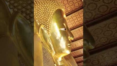 THIS IS BANGKOK BABY #bangkok #reizen #reisvlog #travelvlog #buddha #watpho #watarun #reisfamilie