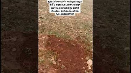 100 Acrs Land sale || #viralvideo #realestate #agriculture #farmer #farming #andhrapradesh #viral