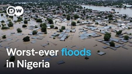 One million Nigerians displaced by severe flooding | DW News