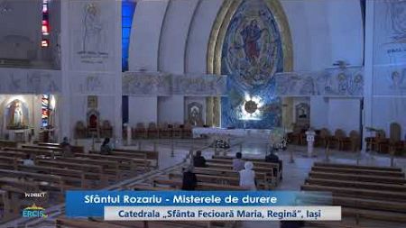 Live: ERCIS Media / Oficiul pentru Comunicații Sociale / Episcopia Romano-Catolică de Iași