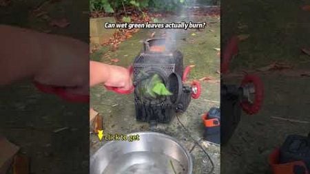 Can wet green leaves actually burn? #campingstove #woodstove #automobile #burningstove #woodfire