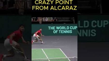 AMAZING POINT FROM ALCARAZ AT DAVIS CUP #tennis #tenis #alcaraz #daviscup