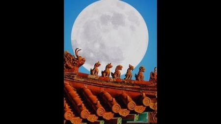 Though miles apart, the same moon we share: a Mid-Autumn Festival ode