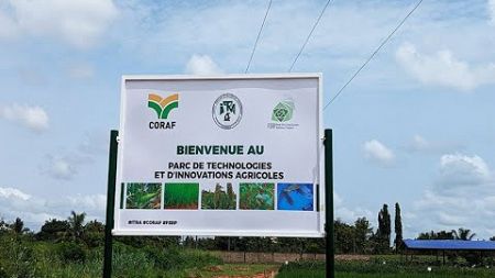 Journée Portes Ouvertes au Parc de Technologie Agricole de Davié au Togo 🇹🇬